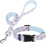 DILLYBUD Dog Collar and Leash Set for Small Dogs, Adjustable Soft Puppy Collar with Quick Release Buckle, 5FT Heavy Duty Nylon Matching Leash for Boy Girl Chihuahua, Yorki, Bulldog, Blue S