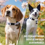 DILLYBUD Dog Collar and Leash Set for Small Dogs, Adjustable Soft Puppy Collar with Quick Release Buckle, 5FT Heavy Duty Nylon Matching Leash for Boy Girl Chihuahua, Yorki, Bulldog, Blue S