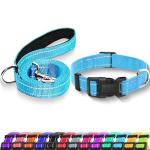 Maiiu Reflective Dog Collar with Safety Locking Buckle, Adjustable Soft Breathable Nylon Collars for Small, Medium and Large Dogs(Collar+Leash XS Width 5/8" Sky Blue)
