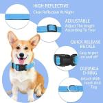 Maiiu Reflective Dog Collar with Safety Locking Buckle, Adjustable Soft Breathable Nylon Collars for Small, Medium and Large Dogs(Collar+Leash XS Width 5/8" Sky Blue)
