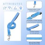 Maiiu Reflective Dog Collar with Safety Locking Buckle, Adjustable Soft Breathable Nylon Collars for Small, Medium and Large Dogs(Collar+Leash XS Width 5/8" Sky Blue)