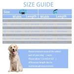 Maiiu Reflective Dog Collar with Safety Locking Buckle, Adjustable Soft Breathable Nylon Collars for Small, Medium and Large Dogs(Collar+Leash XS Width 5/8" Sky Blue)