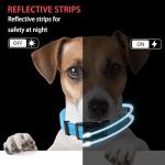 Maiiu Reflective Dog Collar with Safety Locking Buckle, Adjustable Soft Breathable Nylon Collars for Small, Medium and Large Dogs(Collar+Leash XS Width 5/8" Sky Blue)