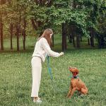 Maiiu Reflective Dog Collar with Safety Locking Buckle, Adjustable Soft Breathable Nylon Collars for Small, Medium and Large Dogs(Collar+Leash XS Width 5/8" Sky Blue)