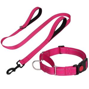 FunTags Reflective Martingale Collar for Dogs, Quick Release Buckle, 5FT Double Handle Dog Leash Padded, Dog Collar and Leash Set, Adjustable for Medium Dogs (Hotpink, M)