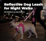 Best Pet Supplies Voyager Reflective Dog Leash or Collar with Neoprene Handle, for Small, Medium, and Large Breed Puppies, Cute and Heavy Duty for Walking, Running and Training - Fuchsia (Leash), S