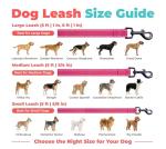 Best Pet Supplies Voyager Reflective Dog Leash or Collar with Neoprene Handle, for Small, Medium, and Large Breed Puppies, Cute and Heavy Duty for Walking, Running and Training - Fuchsia (Leash), S