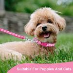 BOUMUSOE 2 Packs Dog Collar and Leash Set, Puppy Collar and Lead Set Quick Release Buckle Adjustable Paw Print Puppy Collar Soft Nylon Pet Collar for Puppy Small Dogs