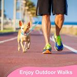 BOUMUSOE 2 Packs Dog Collar and Leash Set, Puppy Collar and Lead Set Quick Release Buckle Adjustable Paw Print Puppy Collar Soft Nylon Pet Collar for Puppy Small Dogs