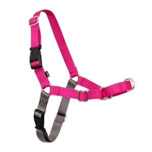 PetSafe Easy Walk No-Pull Dog Harness - The Ultimate Harness to Help Stop Pulling - Take Control & Teach Better Leash Manners - Helps Prevent Pets Pulling on Walks, Medium/Large, Raspberry/Gray