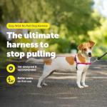 PetSafe Easy Walk No-Pull Dog Harness - The Ultimate Harness to Help Stop Pulling - Take Control & Teach Better Leash Manners - Helps Prevent Pets Pulling on Walks, Medium/Large, Raspberry/Gray