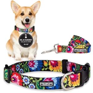 Lucky Love Dog - Easy Click Buckle Dog Collar with Leash Set Combo, Durable & Comfortable for Male & Female Dogs, Pet Collar for Small Dogs, Secure Fit - Blackbird Combo, Small