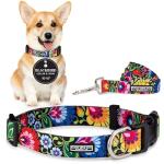 Lucky Love Dog - Easy Click Buckle Dog Collar with Leash Set Combo, Durable & Comfortable for Male & Female Dogs, Pet Collar for Small Dogs, Secure Fit - Blackbird Combo, Small