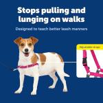 PetSafe Easy Walk No-Pull Dog Harness - The Ultimate Harness to Help Stop Pulling - Take Control & Teach Better Leash Manners - Helps Prevent Pets Pulling on Walks, Medium/Large, Raspberry/Gray