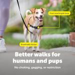 PetSafe Easy Walk No-Pull Dog Harness - The Ultimate Harness to Help Stop Pulling - Take Control & Teach Better Leash Manners - Helps Prevent Pets Pulling on Walks, Medium/Large, Raspberry/Gray