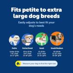 PetSafe Easy Walk No-Pull Dog Harness - The Ultimate Harness to Help Stop Pulling - Take Control & Teach Better Leash Manners - Helps Prevent Pets Pulling on Walks, Medium/Large, Raspberry/Gray