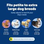 PetSafe Easy Walk No-Pull Dog Harness - The Ultimate Harness to Help Stop Pulling - Take Control & Teach Better Leash Manners - Helps Prevent Pets Pulling on Walks, Medium/Large, Raspberry/Gray