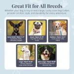 Lucky Love Dog - Easy Click Buckle Dog Collar with Leash Set Combo, Durable & Comfortable for Male & Female Dogs, Pet Collar for Small Dogs, Secure Fit - Blackbird Combo, Small