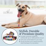 Lucky Love Dog - Easy Click Buckle Dog Collar with Leash Set Combo, Durable & Comfortable for Male & Female Dogs, Pet Collar for Small Dogs, Secure Fit - Blackbird Combo, Small