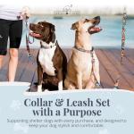 Lucky Love Dog - Easy Click Buckle Dog Collar with Leash Set Combo, Durable & Comfortable for Male & Female Dogs, Pet Collar for Small Dogs, Secure Fit - Blackbird Combo, Small