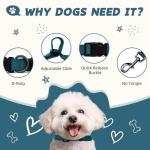 Peacock Blue Dog Collar and Leash Set for Medium Dogs Soft and Breathable of 90% Rayon from Bamboo and 10% Polyester Comfortable Skin-Friendly, Adjustable Leash Set with Quick Release Buckle