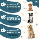 Peacock Blue Dog Collar and Leash Set for Medium Dogs Soft and Breathable of 90% Rayon from Bamboo and 10% Polyester Comfortable Skin-Friendly, Adjustable Leash Set with Quick Release Buckle