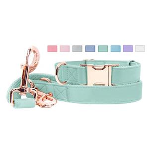 Soft Leather Dog Collar and Leash (6.6') Set - Stylish Rose Gold Heavy Duty Metal Buckle, 4 Adjustable Lengths Leash for Small Medium Large Dogs - Comfortable & Easy to Clean Mint Green L(15.4"-24.8")