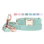 Soft Leather Dog Collar and Leash (6.6') Set - Stylish Rose Gold Heavy Duty Metal Buckle, 4 Adjustable Lengths Leash for Small Medium Large Dogs - Comfortable & Easy to Clean Mint Green L(15.4"-24.8")
