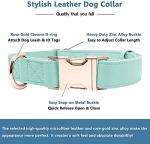 Soft Leather Dog Collar and Leash (6.6') Set - Stylish Rose Gold Heavy Duty Metal Buckle, 4 Adjustable Lengths Leash for Small Medium Large Dogs - Comfortable & Easy to Clean Mint Green L(15.4"-24.8")