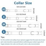 Soft Leather Dog Collar and Leash (6.6') Set - Stylish Rose Gold Heavy Duty Metal Buckle, 4 Adjustable Lengths Leash for Small Medium Large Dogs - Comfortable & Easy to Clean Mint Green L(15.4"-24.8")