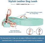 Soft Leather Dog Collar and Leash (6.6') Set - Stylish Rose Gold Heavy Duty Metal Buckle, 4 Adjustable Lengths Leash for Small Medium Large Dogs - Comfortable & Easy to Clean Mint Green L(15.4"-24.8")