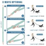 Soft Leather Dog Collar and Leash (6.6') Set - Stylish Rose Gold Heavy Duty Metal Buckle, 4 Adjustable Lengths Leash for Small Medium Large Dogs - Comfortable & Easy to Clean Mint Green L(15.4"-24.8")