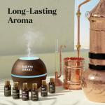 Essential Luxury Home Fragrance Reed Diffuser