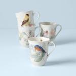 Lenox Butterfly Meadow Set of 4 Colorful Mugs