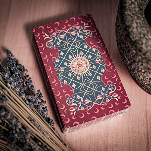 Tarot de Marseille Cards in English