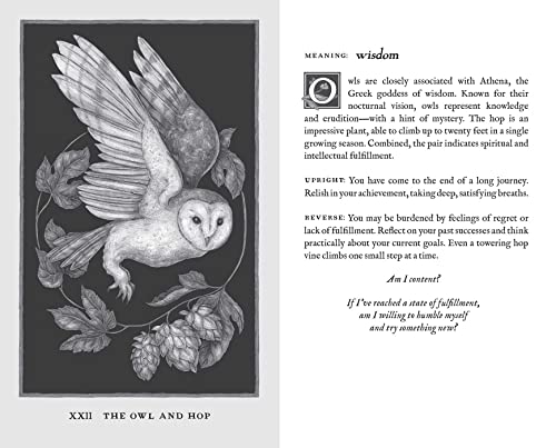 Woodland Wardens 52-Card Oracle Deck & Guidebook