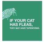 Elanco Tapeworm Dewormer for Cats – 3 Tablets