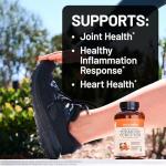 NatureWise Organic Turmeric Curcumin 180 Vegan Caps