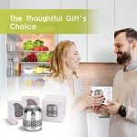 10-Year Fridge Deodorizer - Beats Baking Soda!