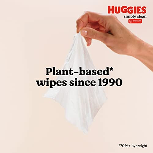 Huggies Simply Clean Unscented Baby Wipes, 704 Count