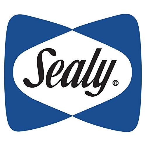 Sealy Soybean Contoured Changing Pad - White