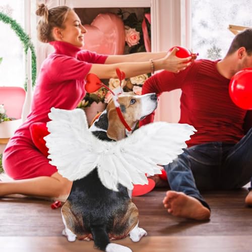 Valentine's Heart Costume Set for Medium to Large Dogs
