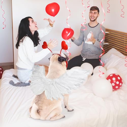 Valentine's Heart Costume Set for Medium to Large Dogs