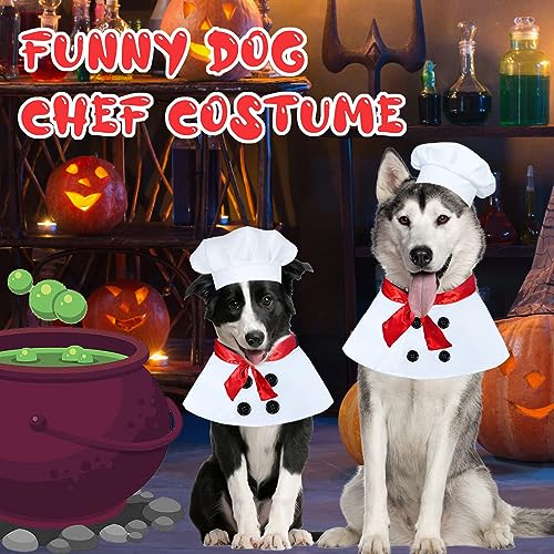 Dog Halloween Chef Costume with Hat and Scarf