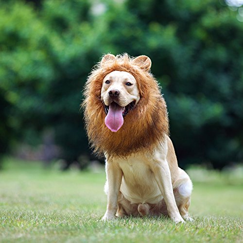 Funny Lion Mane Wig for Medium to Large Dogs