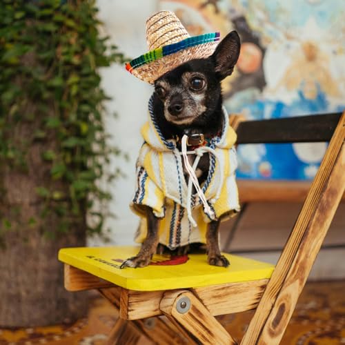Funny Mexican Sombrero Hat for Small Pets