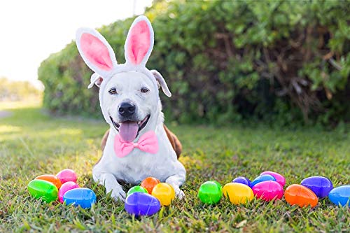 Dog Bunny Costume with Ears, Tail, and Bowtie