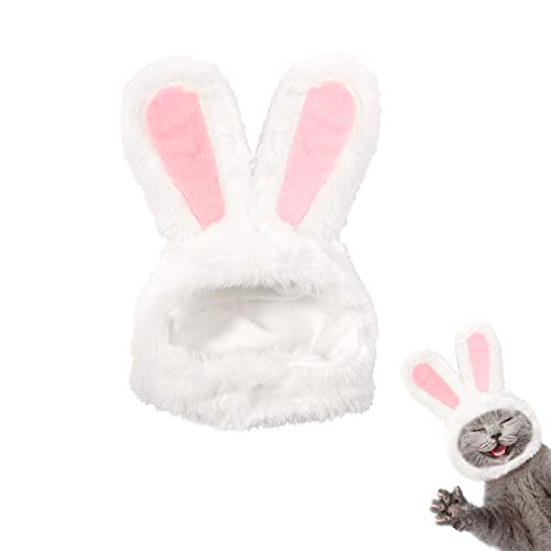 Cute Bunny Rabbit Hat for Cats & Small Dogs
