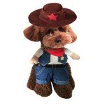 Cowboy Costume with Hat for Small Dogs