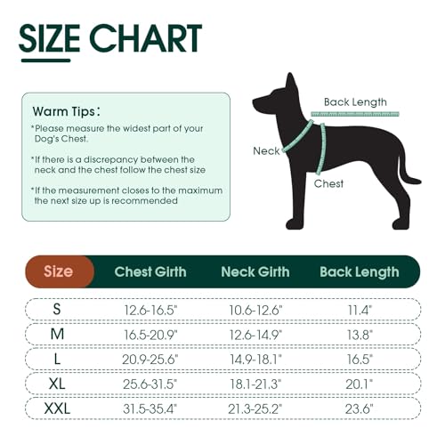 Tuxedo and Bandana Costume for Dogs